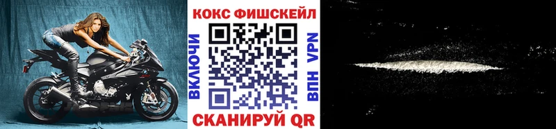 закладка  Фрязино  Кокаин FishScale 