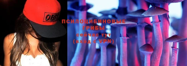 spice Абаза