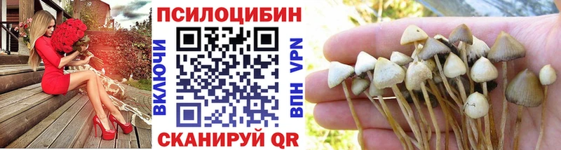 Псилоцибиновые грибы Psilocybe  Фрязино 