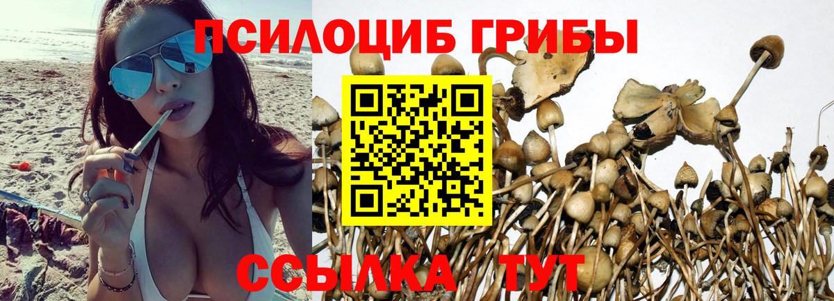 Галлюциногенные грибы ЛСД  Вход с VPN  Фрязино  Псилоцибиновые грибы ЛСД 